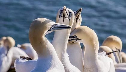 NBA球员训练技术创新，nba球员日常训练项目