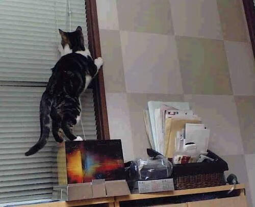 _新生代崛起,未来之星引领新潮流_,未来之星第四期