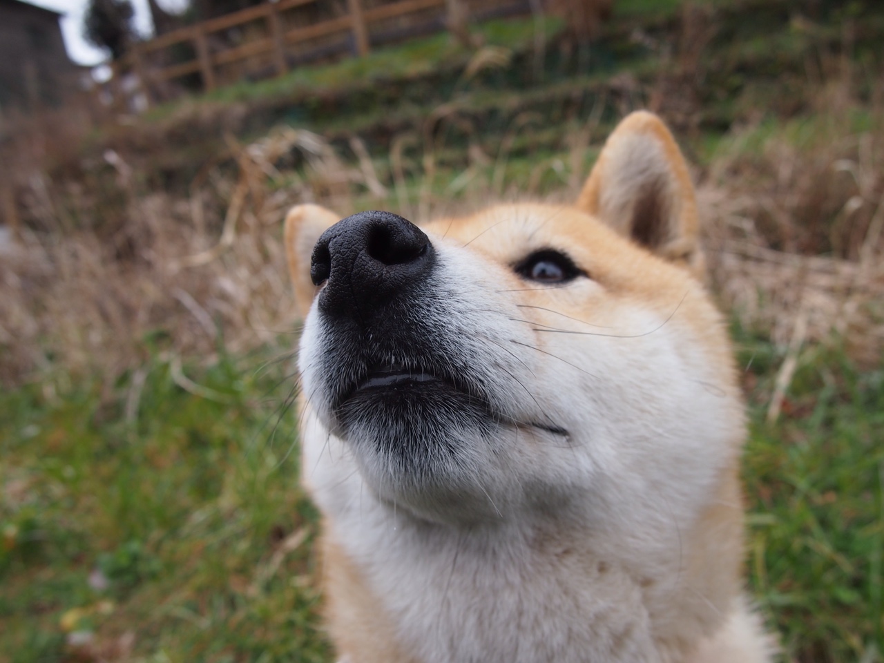 _海底滑索:在水中穿越莫测奇境_,跳入海底视频