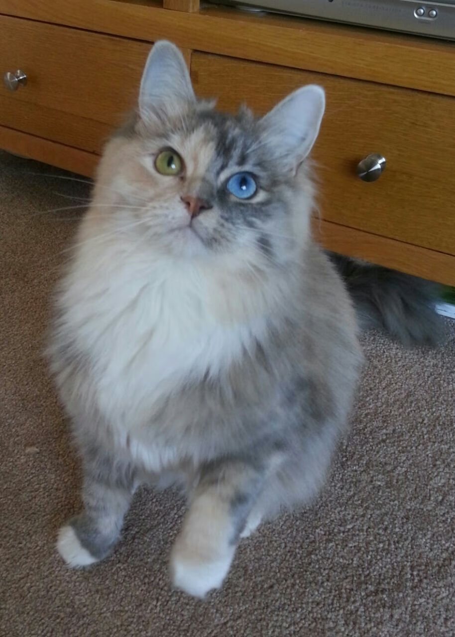 “未来之星”青少年明星培养计划在天津全面运行,促进青训产业跃升