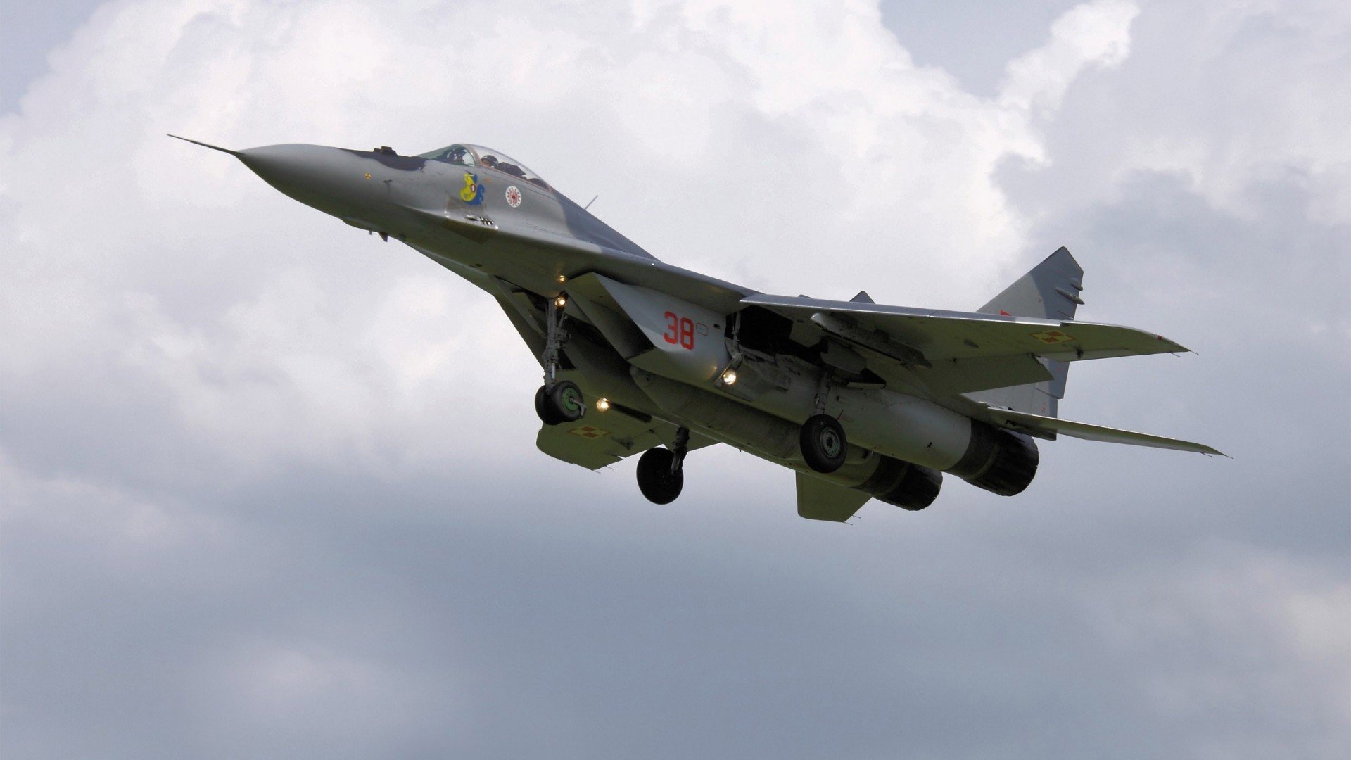 伊朗马术协会与国际马术联合会合作，举办国际马术交流活动，促进技术交流。