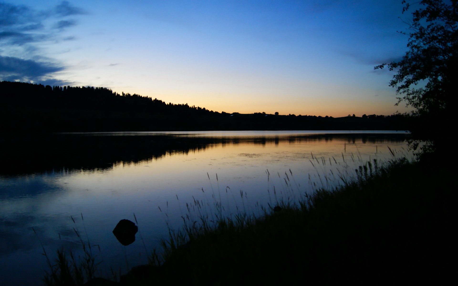 现场裁判的故事：坚持公平的守护者，现场裁判的故事_坚持公平的守护者是什么