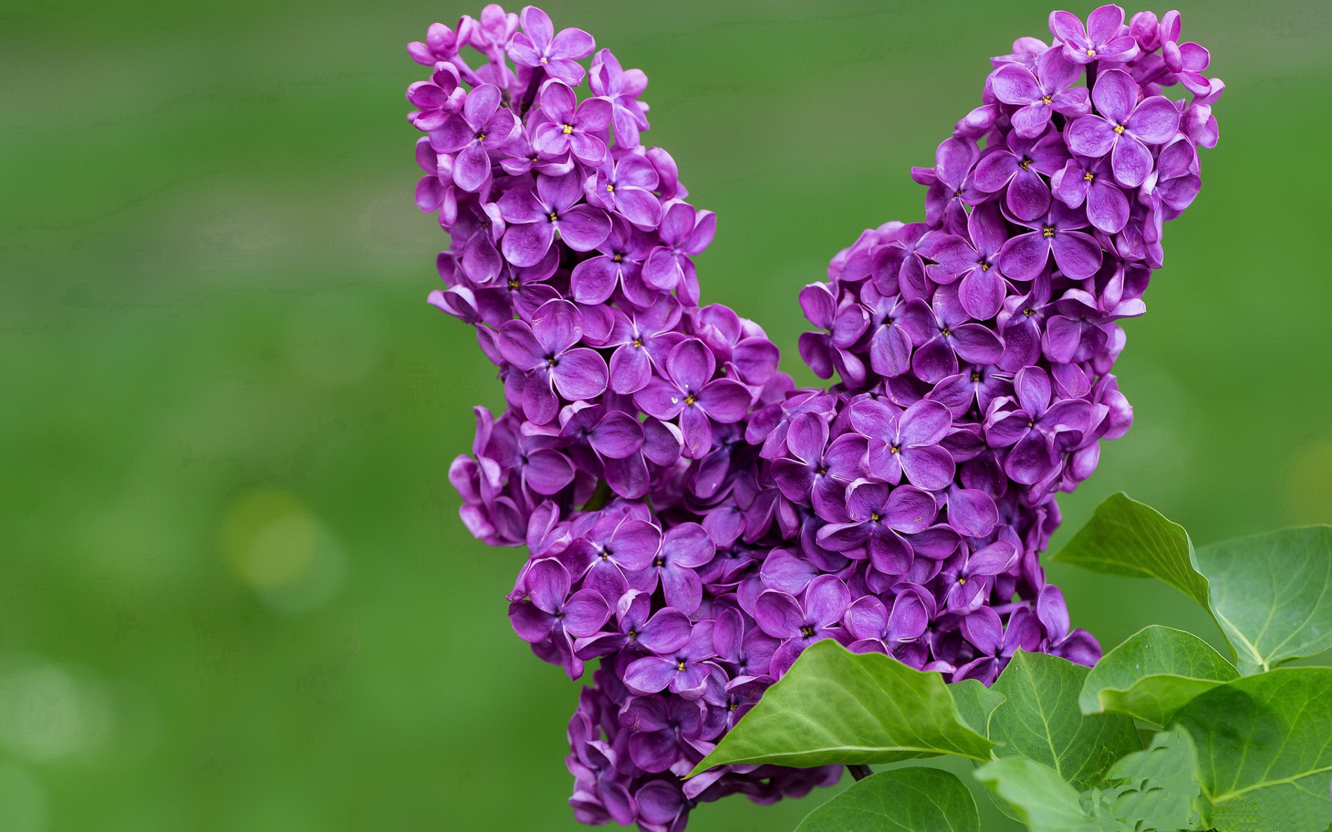 赛季亮点：各队战绩对比分析，新赛季战队排名会变吗