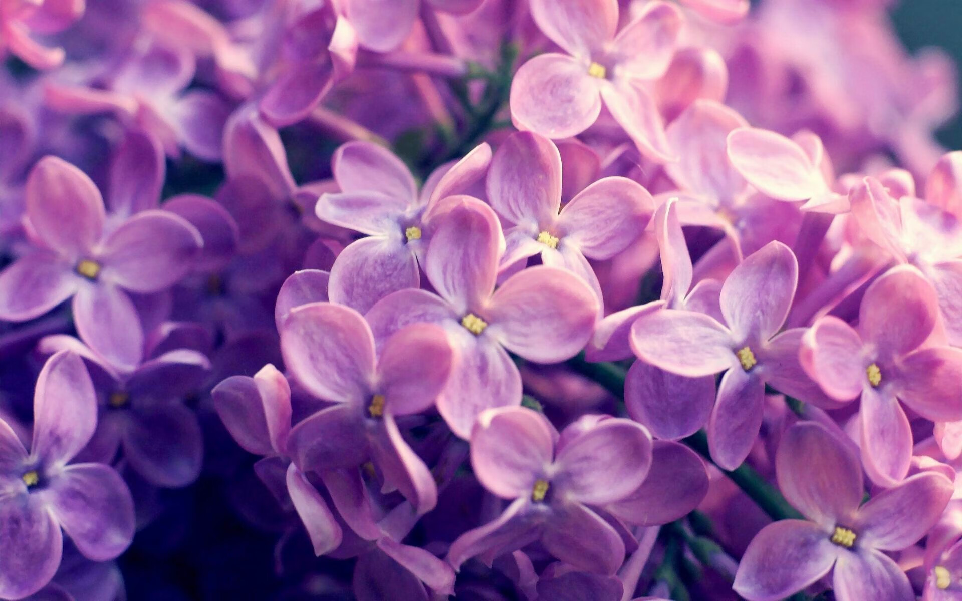 赛前预热:车手在比赛日的心理调适,赛车比赛前的鼓励的话