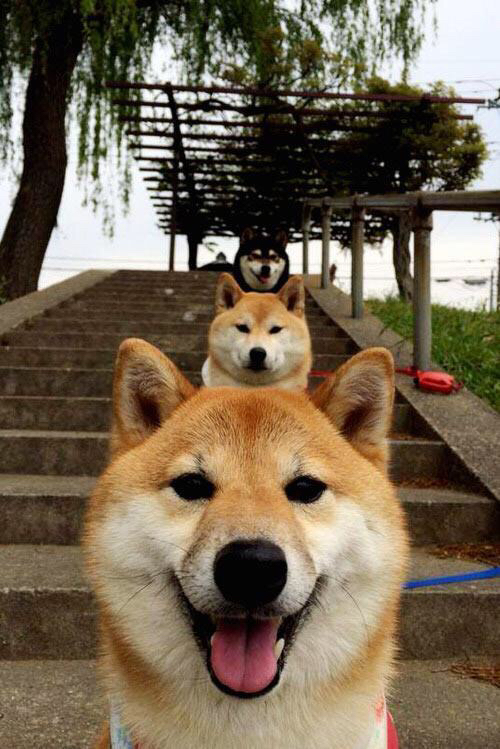 超级赛季：年度最佳比赛豪华回顾，超级联赛s1