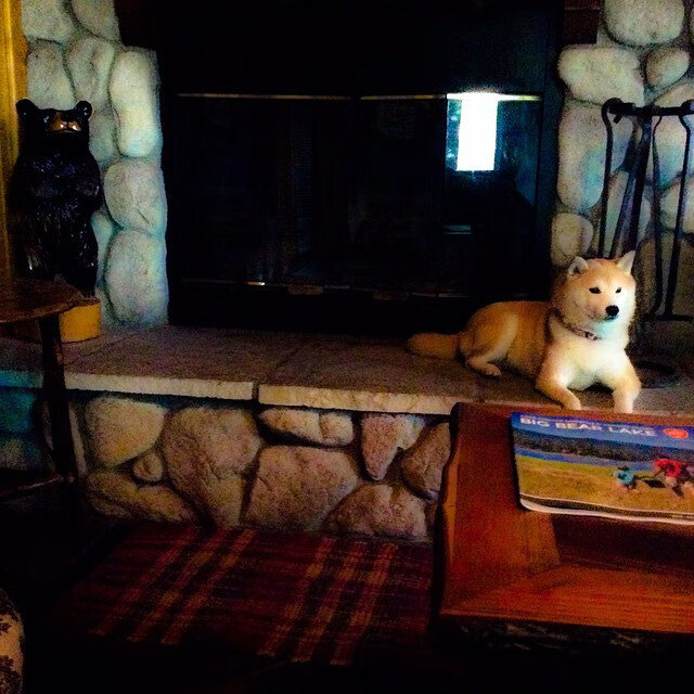 赛场“智斗”：用策略化解危机