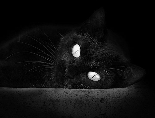 青少年足球赛事逐步实现多样化，激发不同层级运动热情，青少年足球运动蔚然成风