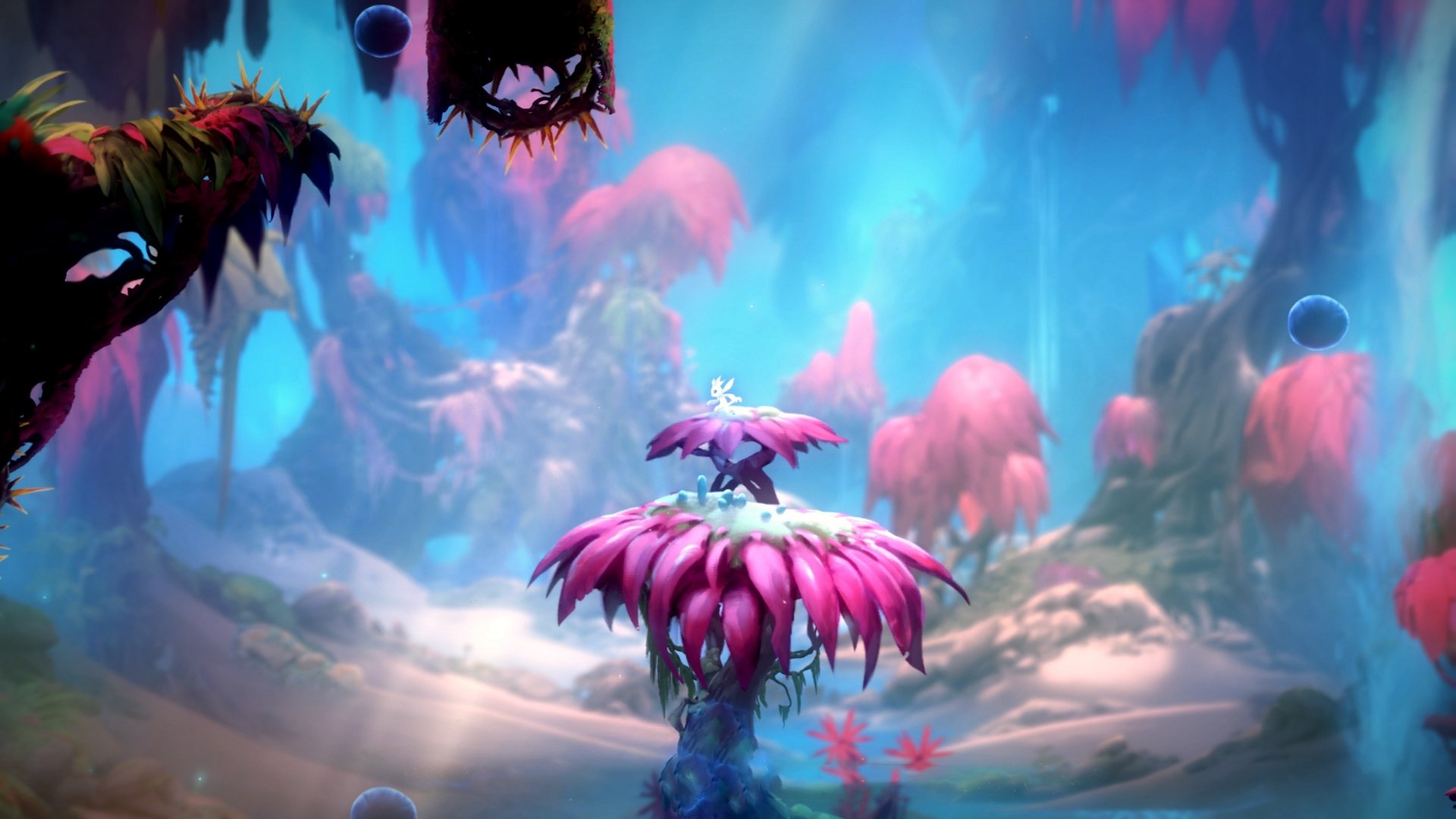 公牛队雄心勃勃，计划夺得季后赛名额，公牛队新赛季阵容