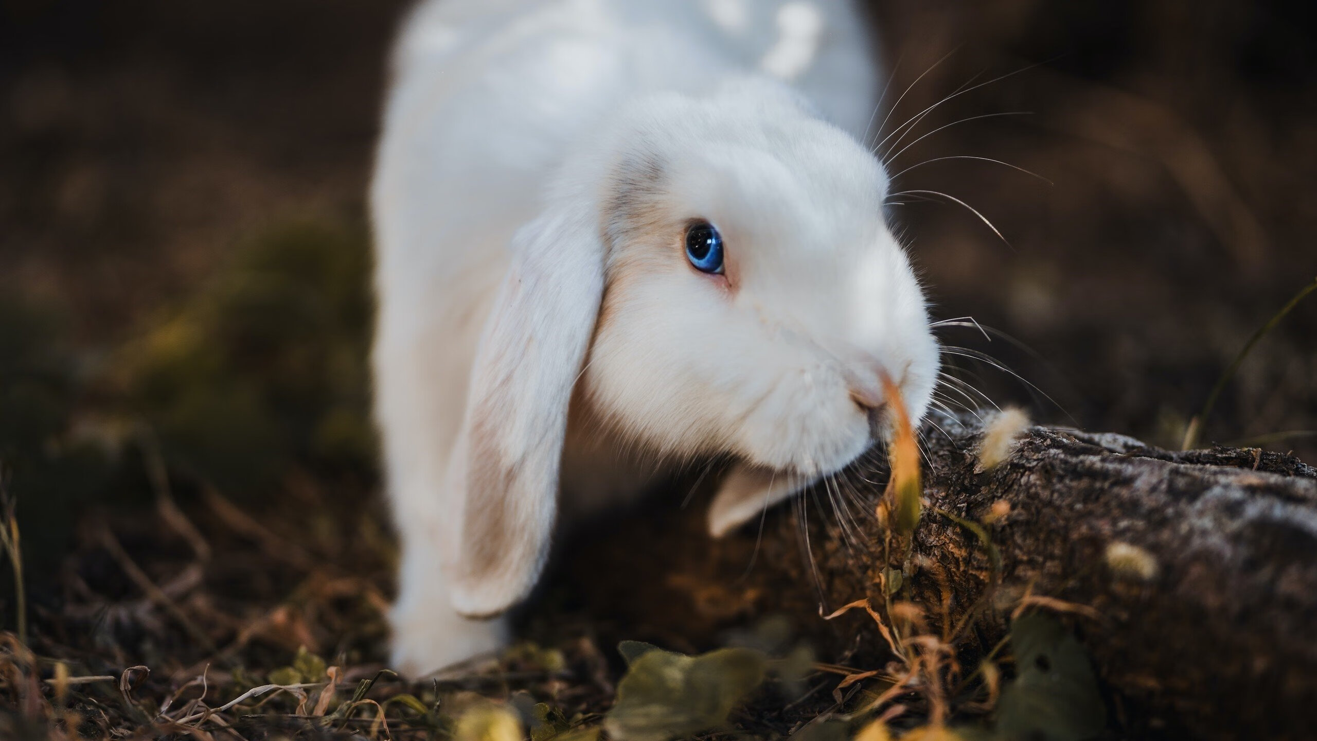 女足比赛中,中国队展现出统一配合,中国女足同组