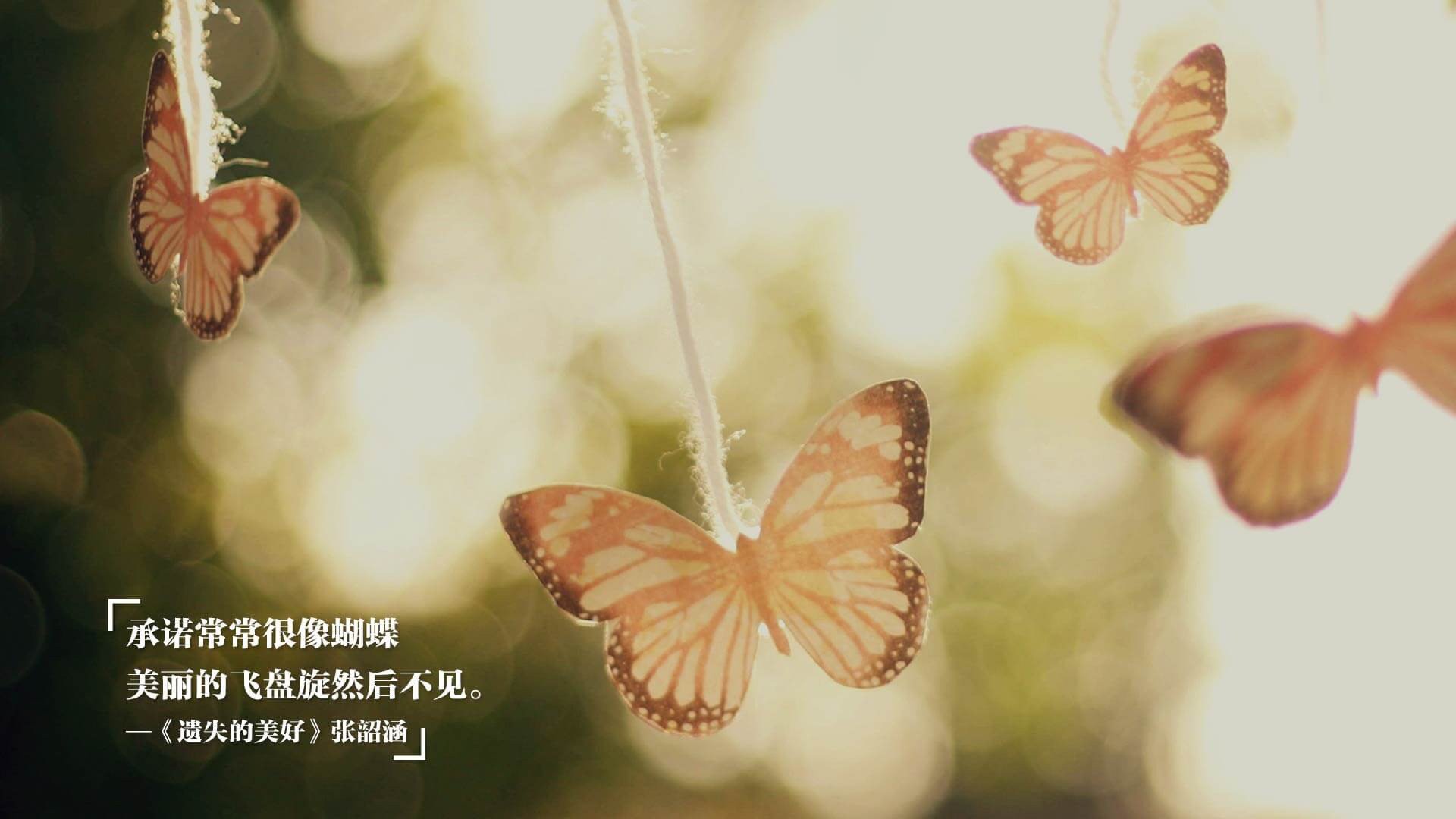 澳大利亚铁卫斩获关键进球，助球队晋级，澳大利亚兵败铁矿石之战