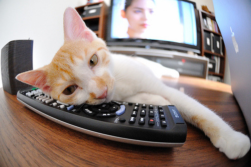 电竞直播技术发展趋势与5G网络应用前景分析,电竞直播市场