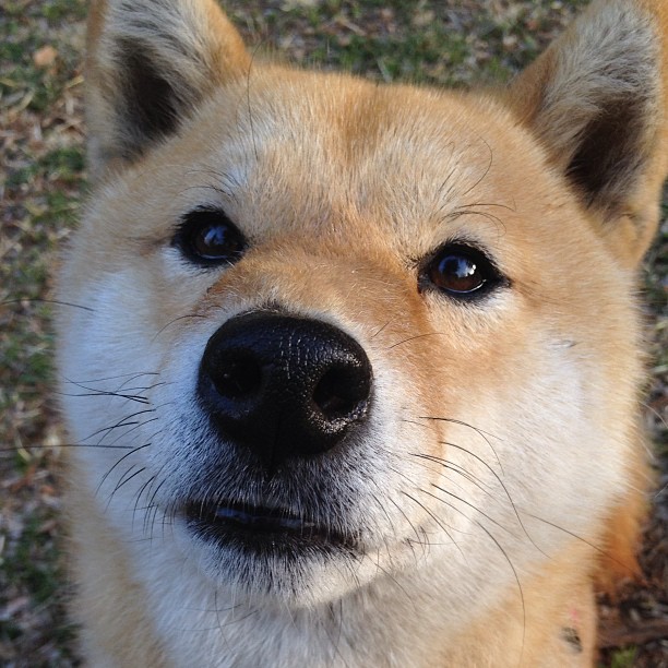 奥运村卫生系统引入无接触感应设备,奥运村卫生系统引入无接触感应设备的原因