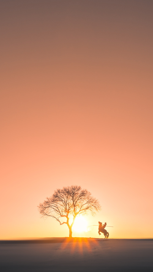 新加坡队如何在未来赛事中保持创新与传统的平衡,新加坡赛制注重什么