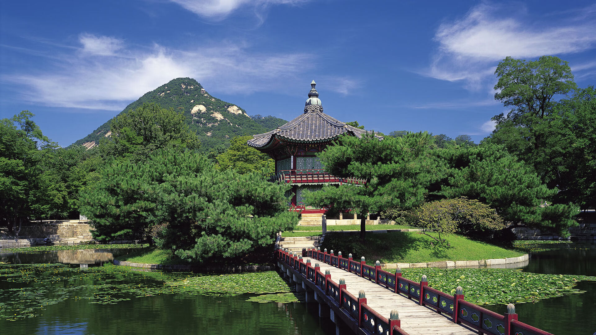 青少年足球数字化管理平台推行，个性化训练方案广受好评，青少年足球论坛